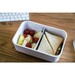 Lunch Box L pour Pompe Sous-vide Fresh & Save